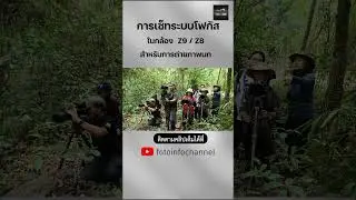การเลือกใช้ AF Area mode ในกล้อง Nikon Z8, Z9 ให้ใช้งานได้อย่างมีประสิทธิภาพ #nikonz8 #NikonZ9