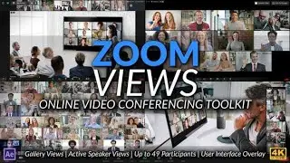 Zoom Views: Online Video Conferencing Toolkit