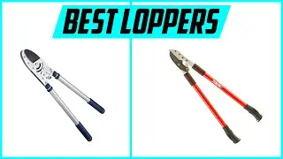 Top 5 Best Loppers