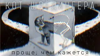 Кот Шрёдингера - самая популярная теория простыми словами (Перезалив)
