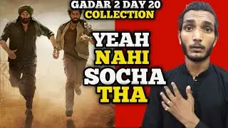 Gadar 2 Day 20 Worldwide Collection | Gadar 2 Day 20 Collection | Gadar 2 Collection