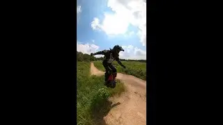 The  black line Mook whaletale