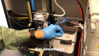 In-Vivo live animal Imaging System