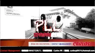 PLL - Lycée Ambroise vollard [