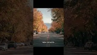 ¿Qué es el Histograma?