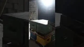Перевозим ульи в зимовники. Алтай, пасека Кузьмича. 