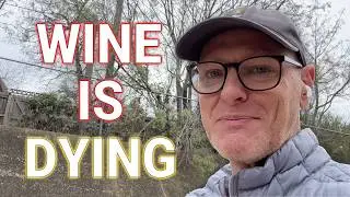 Why the Wine Industry Is Dying and the Impact on Business