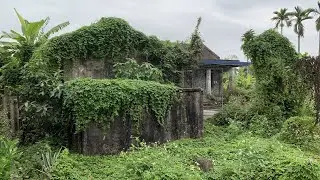 Help the old man with a broken leg clean up his overgrown house _ CLEAN UP Abandoned Houses