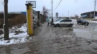 Говнище напротив СУ на Фунтовском.