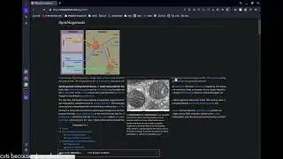 Wikipedia Speedruns | Daily Prompt | 23/07/24