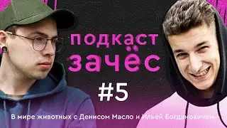 Зачёс. В мире животных с Денисом Масло и Ильёй Богдановичем.