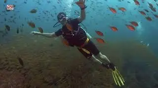 Дайвинг на Пхукете с дайв-клубом DVdiver