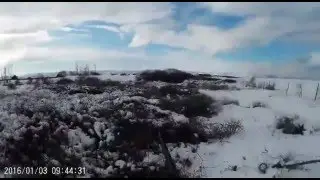 DRAHTHAAR KÖRPİ ÇULLUK AVI 3 OCAK 2016 (Scolopax rusticola)