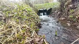 Текущая вода очень хорошо снимает тревогу.Звуки дождя для сна и отдыха.
