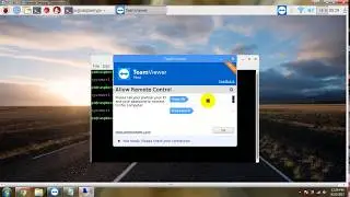 [FIXED] - Teamviewer Host Cannot Display on Raspberry Pi