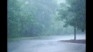 Free Rain Effect Green Screen