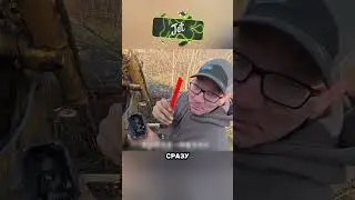 😱Бульдозер по цене премиум-квартиры👀👍