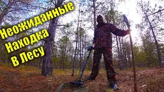Пошли на Заставу с металоискателем. Нашли Пулю от Винтовки Мосина