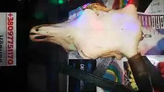 Приворот чёрный сват