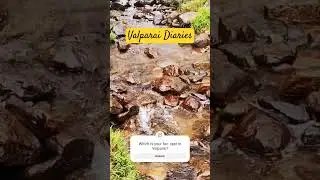 Memories of Valparai! #valparai #bison #valparaihills