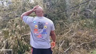 Hurricane Helene Devastating Destruction | SAVANNAH GA 2024