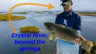 The best grouper spot in Florida! Grass grown beasts 