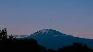 Chillstep | Sappheiros - Descent