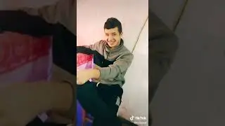 levelpro6/свиня з людським видом