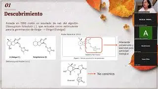 Estrigolactonas