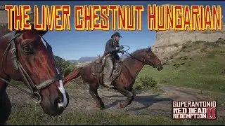 How to Use Save Wizard to Get The Liver Chestnut Hungarian Halfbred, in Red Dead Redemption 2
