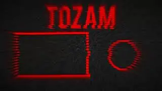 video 13