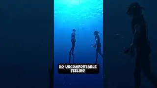 HOW TO PROGRESS IN FREEDIVING