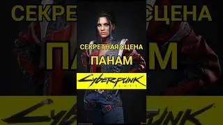 Секретная сцена с Панам Палмер в Cyberpunk 2077