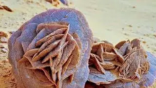 Groove My Desert.