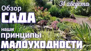 Прогулка по саду🌞 ЦВЕТЕНИЕ 31 августа 🌞 обзор участка