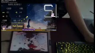 1098pp wooting asmr
