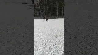 Опасный стык вратаря Торгшины Моти и нападающего Товарища