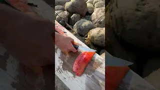 Кунджа из моря 