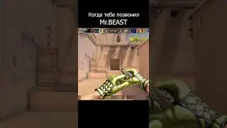 Мистер бист в стандофф 2 