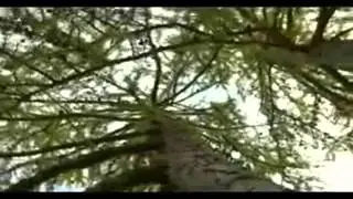 А.Потёмкин+В Леонтьев   Ты стала другой