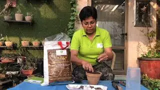 Enriched soil-n-soul