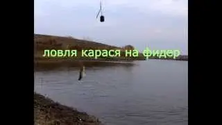 ловля карася на фидер осенью
