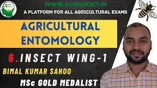 6.1 Insect Wings |Bimal Sahoo| ICAR JRF/SRF/CUET/AFO| All Agricultural Exams
