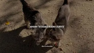 kaitotrash - godspeed (Sub. español)