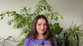 9: Repotting | Houseplant Guide for Beginners | PLANT CRASH COURSE