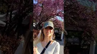 Кто знает название дерева?