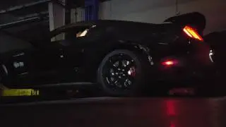 2017 Shelby GT350R startup and rev