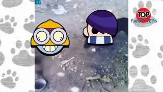 Приколы Brawl Stars 91 часть