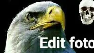 Edit foto ( Cut cut )