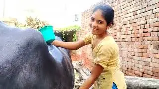 Aaj humne apni Rani ko nahlaya